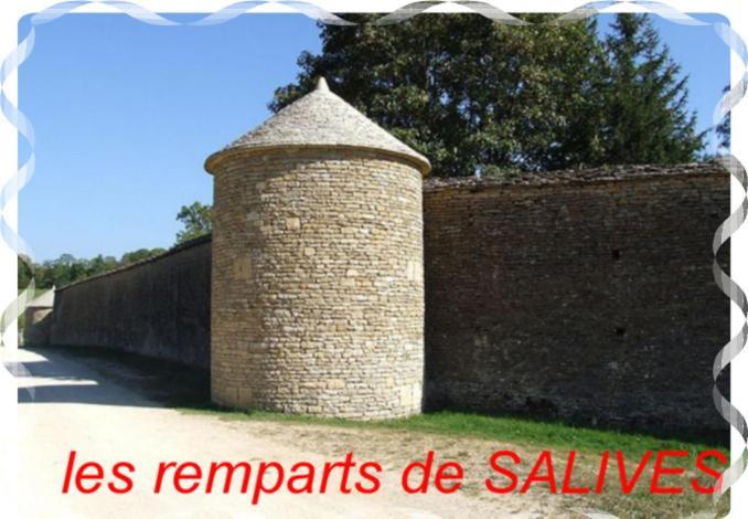 Le Puits Fortifie Salives Kültér fotó