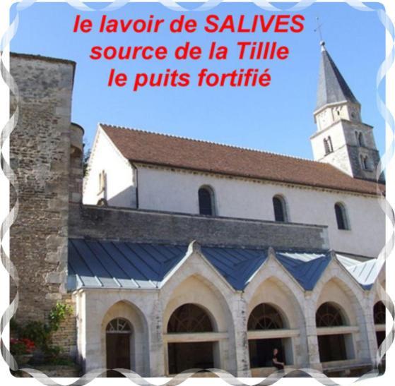 Le Puits Fortifie Salives Kültér fotó
